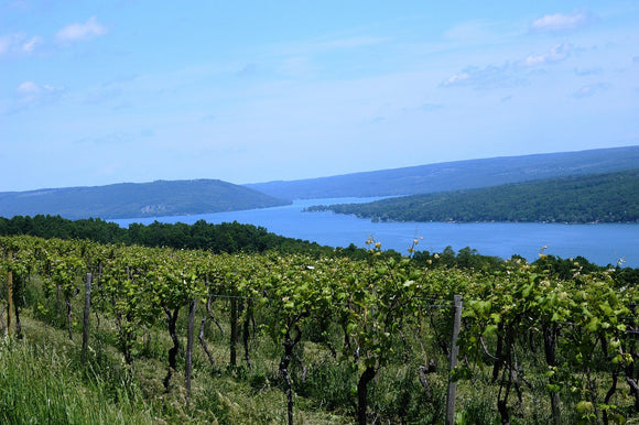 Weekend Travel- Finger Lakes of New York
